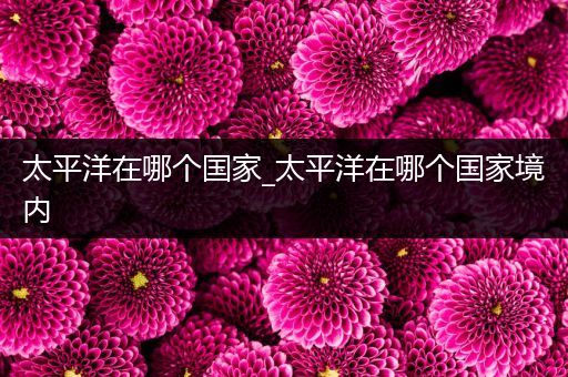 太平洋在哪个国家_太平洋在哪个国家境内