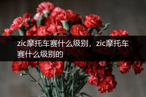 zic摩托车赛什么级别，zic摩托车赛什么级别的