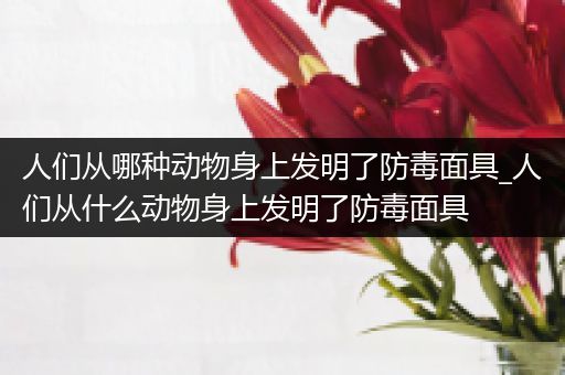 人们从哪种动物身上发明了防毒面具_人们从什么动物身上发明了防毒面具