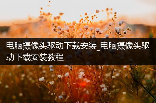 电脑摄像头驱动下载安装_电脑摄像头驱动下载安装教程