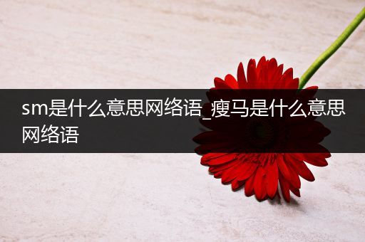 sm是什么意思网络语_瘦马是什么意思网络语