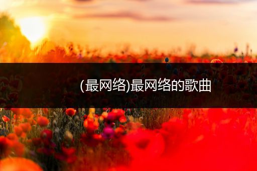 （最网络)最网络的歌曲