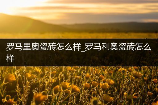 罗马里奥瓷砖怎么样_罗马利奥瓷砖怎么样