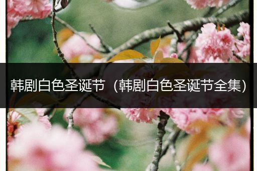 韩剧白色圣诞节（韩剧白色圣诞节全集）