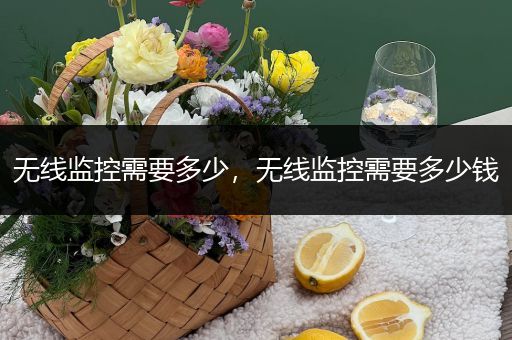 无线监控需要多少，无线监控需要多少钱