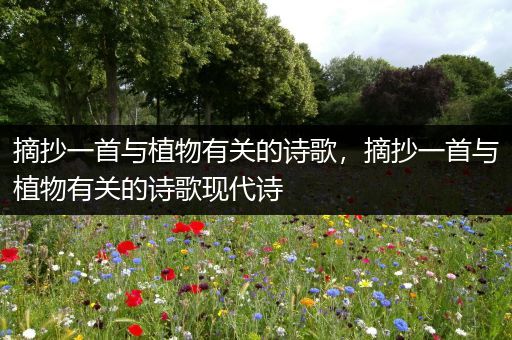 摘抄一首与植物有关的诗歌，摘抄一首与植物有关的诗歌现代诗