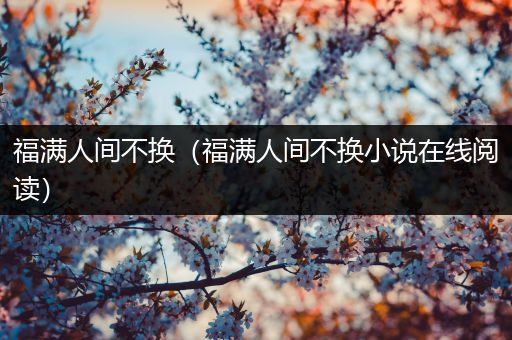 福满人间不换（福满人间不换小说在线阅读）