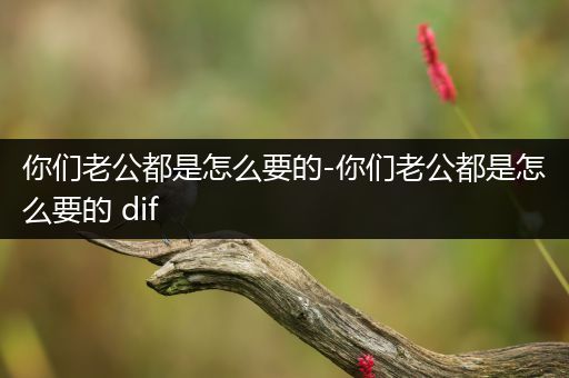 你们老公都是怎么要的-你们老公都是怎么要的 dif