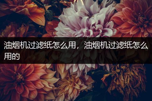 油烟机过滤纸怎么用，油烟机过滤纸怎么用的