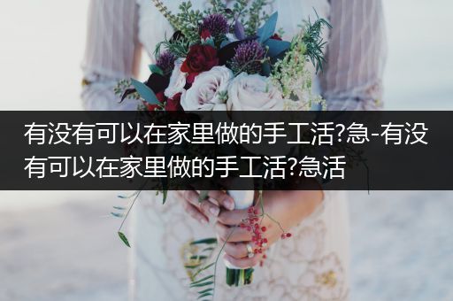 有没有可以在家里做的手工活?急-有没有可以在家里做的手工活?急活