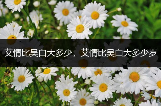 艾情比吴白大多少，艾情比吴白大多少岁