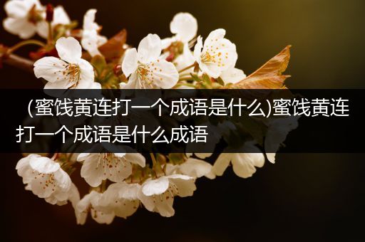 （蜜饯黄连打一个成语是什么)蜜饯黄连打一个成语是什么成语