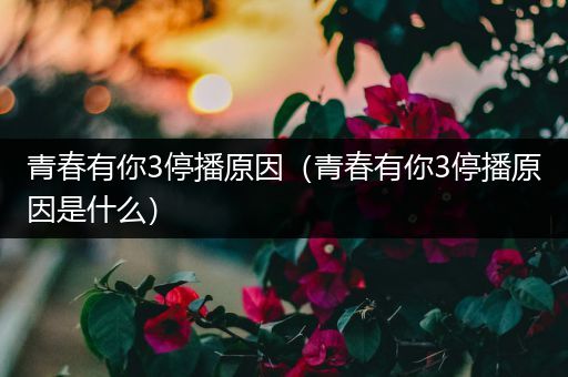 青春有你3停播原因（青春有你3停播原因是什么）