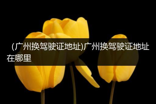 （广州换驾驶证地址)广州换驾驶证地址在哪里