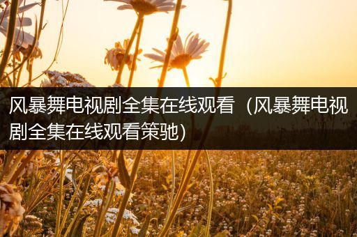 风暴舞电视剧全集在线观看（风暴舞电视剧全集在线观看策驰）