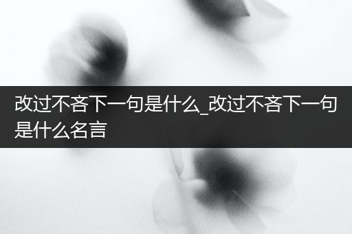 改过不吝下一句是什么_改过不吝下一句是什么名言