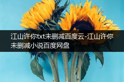 江山许你txt未删减百度云-江山许你未删减小说百度网盘
