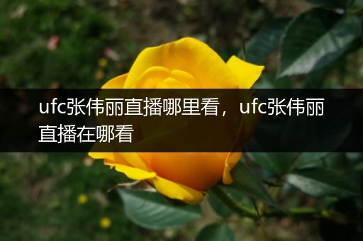 ufc张伟丽直播哪里看，ufc张伟丽直播在哪看
