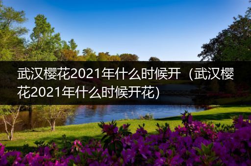 武汉樱花2021年什么时候开（武汉樱花2021年什么时候开花）