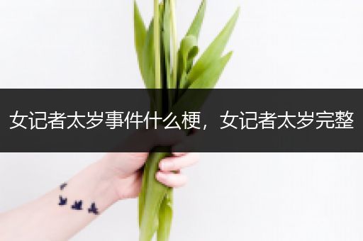 女记者太岁事件什么梗，女记者太岁完整
