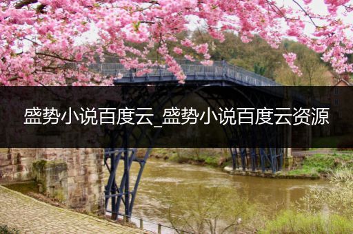 盛势小说百度云_盛势小说百度云资源