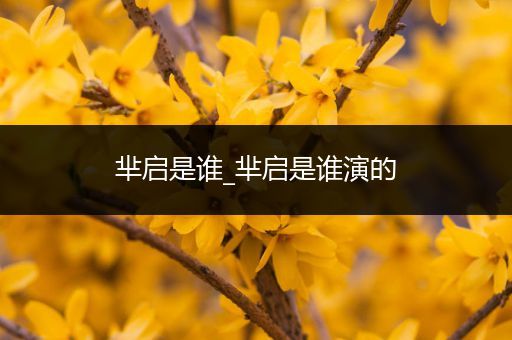 芈启是谁_芈启是谁演的