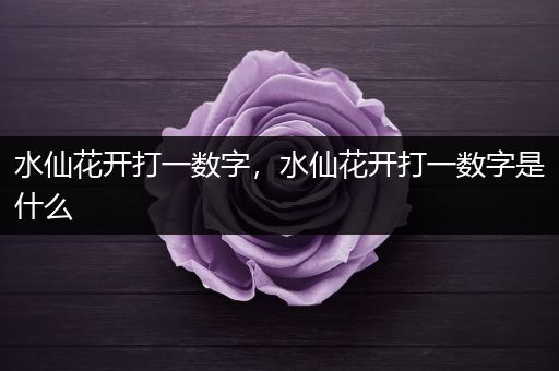 水仙花开打一数字，水仙花开打一数字是什么