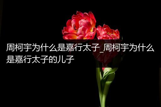 周柯宇为什么是嘉行太子_周柯宇为什么是嘉行太子的儿子