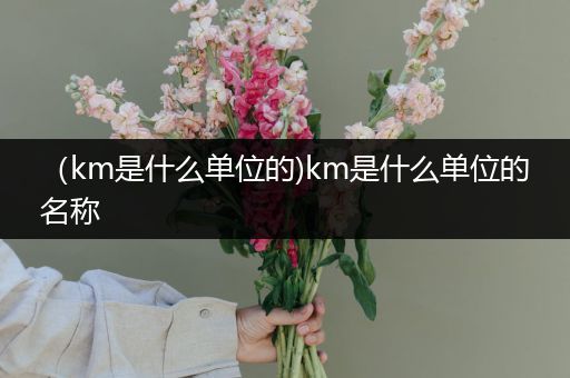 （km是什么单位的)km是什么单位的名称