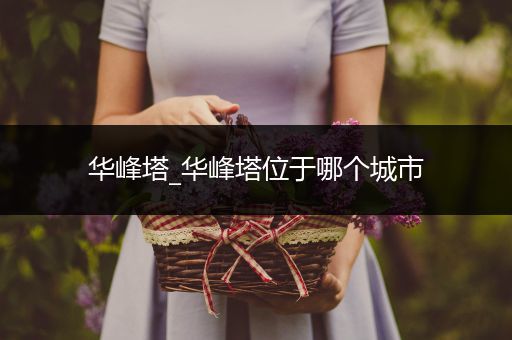 华峰塔_华峰塔位于哪个城市