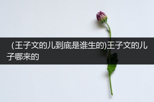 （王子文的儿到底是谁生的)王子文的儿子哪来的