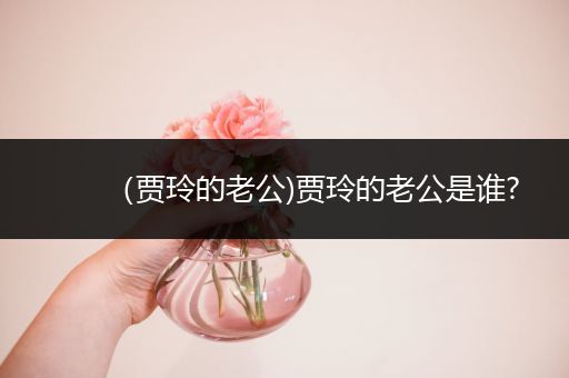 （贾玲的老公)贾玲的老公是谁?