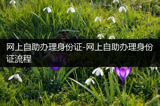 网上自助办理身份证-网上自助办理身份证流程