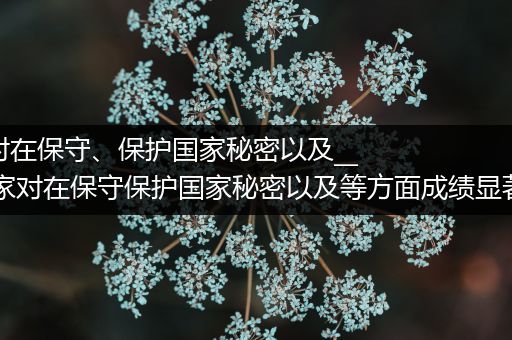 （国家对在保守、保护国家秘密以及____等)国家对在保守保护国家秘密以及等方面成绩显著的单位