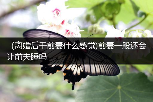 （离婚后干前妻什么感觉)前妻一般还会让前夫睡吗
