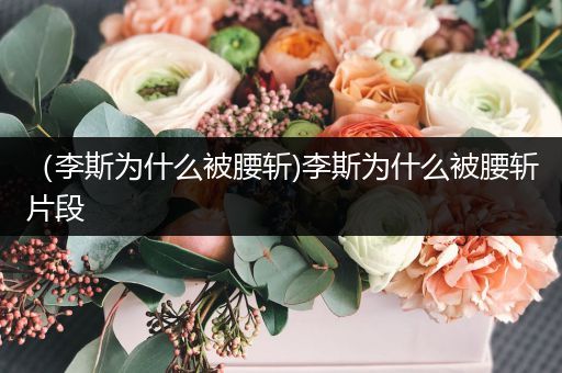 （李斯为什么被腰斩)李斯为什么被腰斩片段