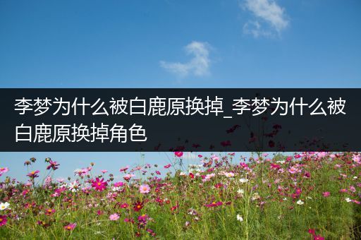李梦为什么被白鹿原换掉_李梦为什么被白鹿原换掉角色