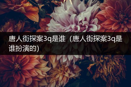 唐人街探案3q是谁（唐人街探案3q是谁扮演的）