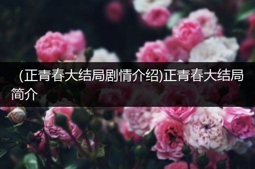 （正青春大结局剧情介绍)正青春大结局简介