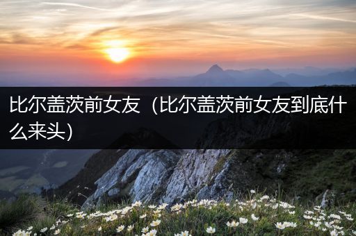 比尔盖茨前女友（比尔盖茨前女友到底什么来头）