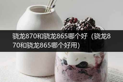 骁龙870和骁龙865哪个好（骁龙870和骁龙865哪个好用）