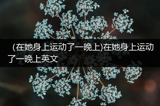 （在她身上运动了一晚上)在她身上运动了一晚上英文