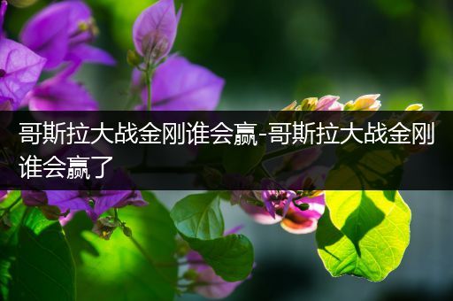 哥斯拉大战金刚谁会赢-哥斯拉大战金刚谁会赢了