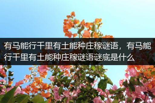 有马能行千里有土能种庄稼谜语，有马能行千里有土能种庄稼谜语谜底是什么