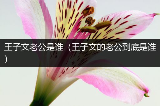 王子文老公是谁（王子文的老公到底是谁）