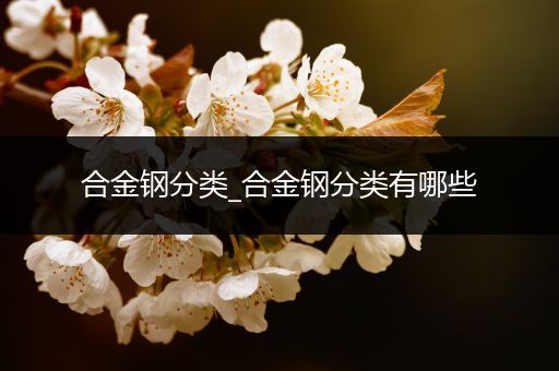 合金钢分类_合金钢分类有哪些