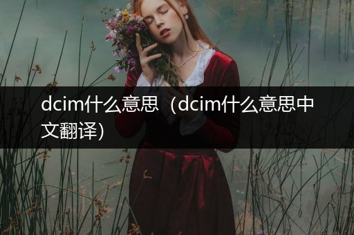 dcim什么意思（dcim什么意思中文翻译）