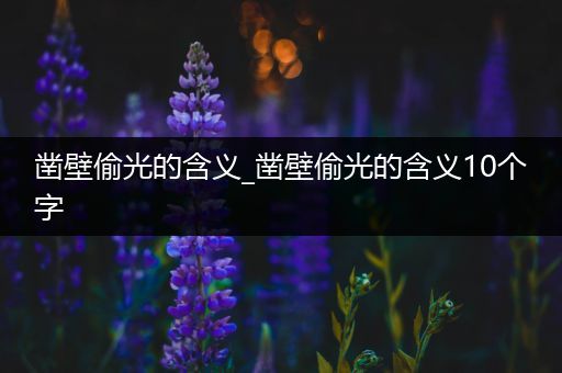 凿壁偷光的含义_凿壁偷光的含义10个字