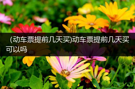 （动车票提前几天买)动车票提前几天买可以吗