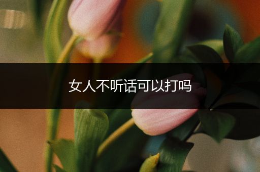 女人不听话可以打吗